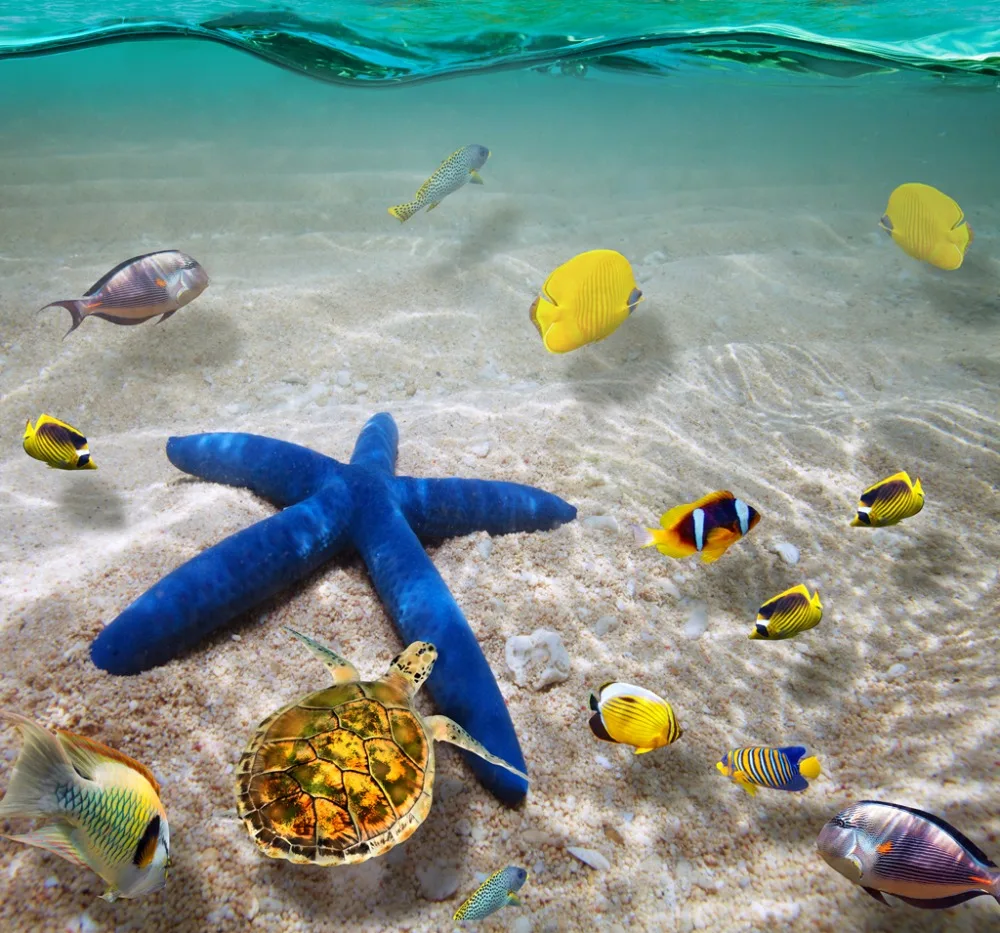 HTB1JlJ5dHwrBKNjSZPcq6xpapXax