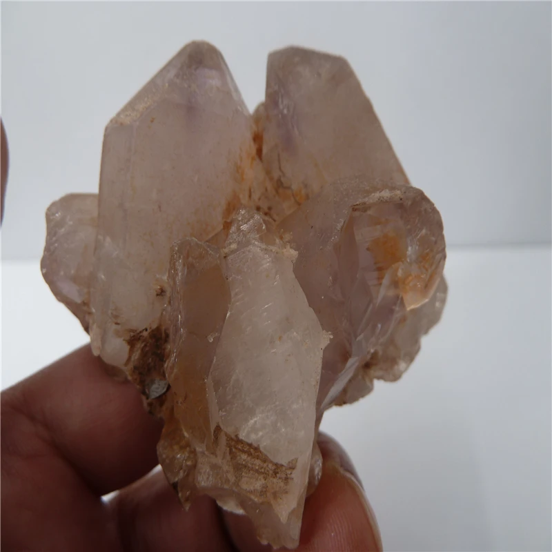 P1500578