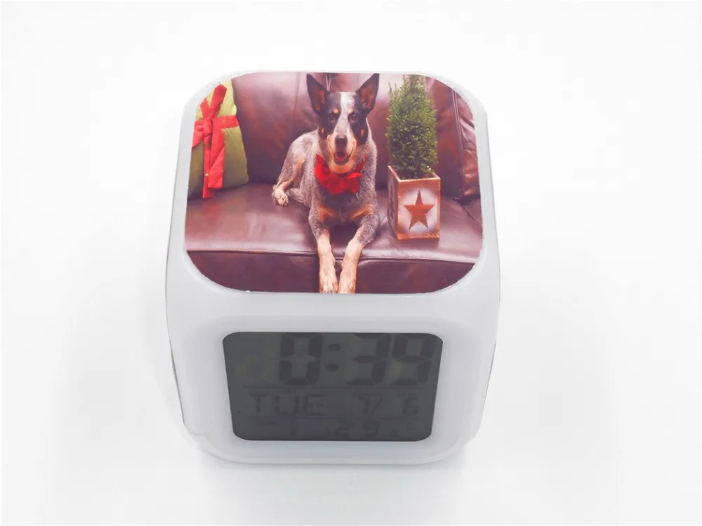 Australian Queensland Heeler Led Alarm Clock 6