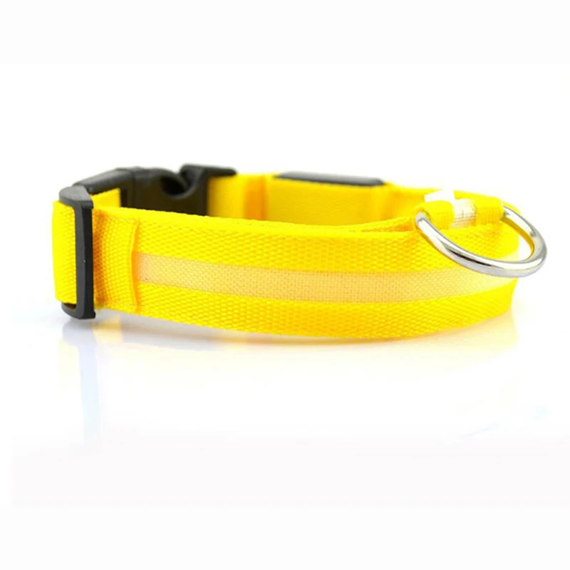 dog collar (13)