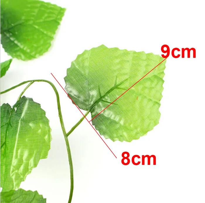  photo ivy4.jpg
