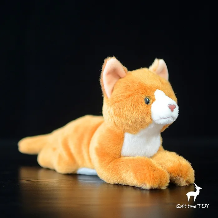 Altin Kediler Pelus Oyuncak Bebekler Cocuk Yalan Kediler Bebek Guzel Dogum Gunu Hediyesi Oyuncak Magazalari Cat Doll Plush Dollgift Toys Aliexpress