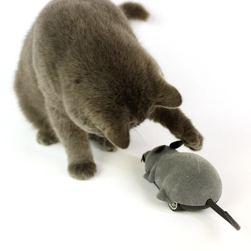 mouse (8)