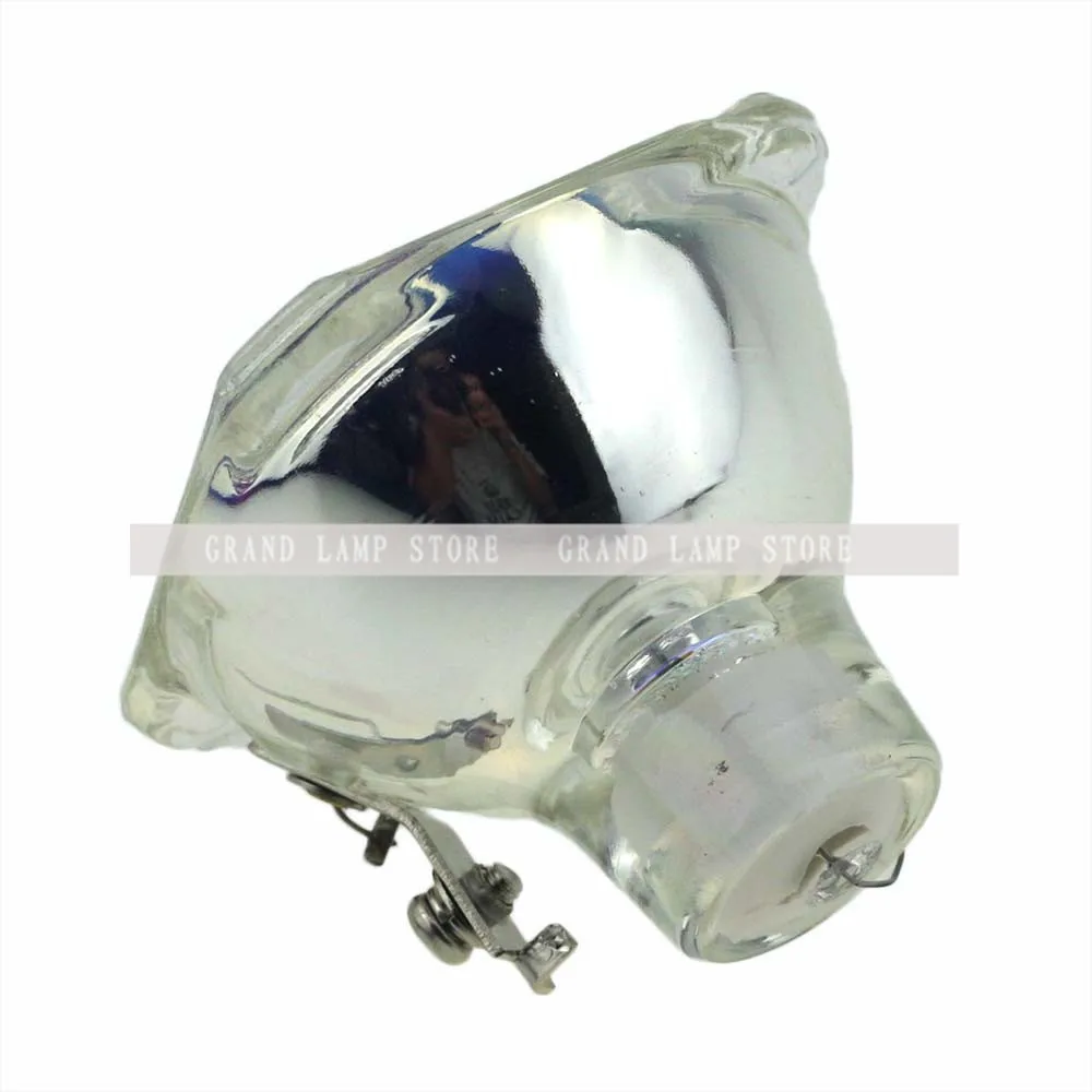 SP-LAMP-003-5