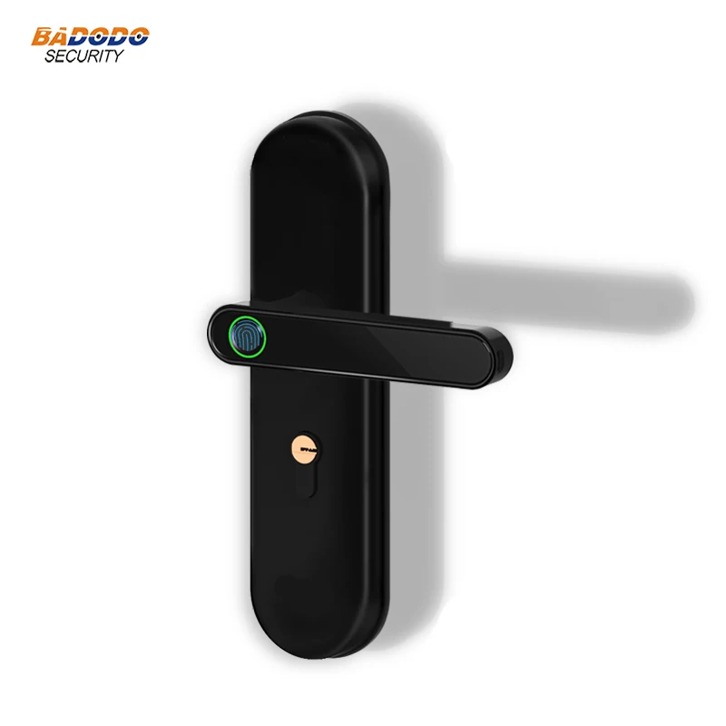 Fingerprint Lock Electric Door Lock with emergency mechanical key for indoor home wooden door