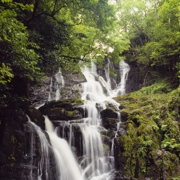 Torc Waterfall  Killarney  Co Kerry  Ireland; Waterfall In Killarney National Park Poster Print (12 x 18)