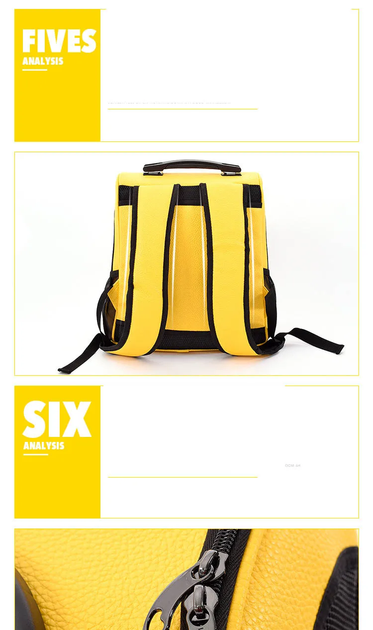 cat bag
