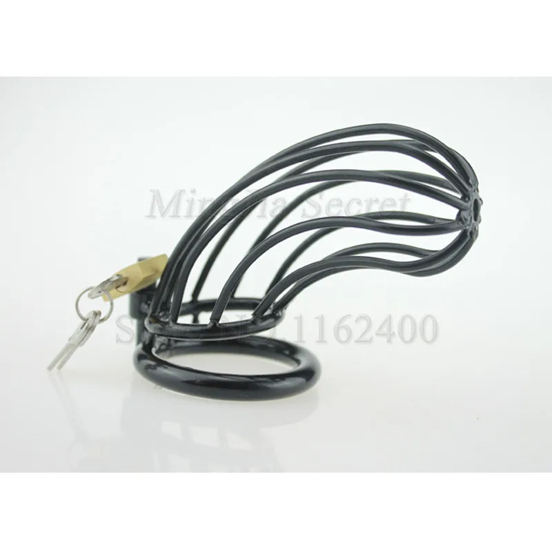 3000402402_1728770533