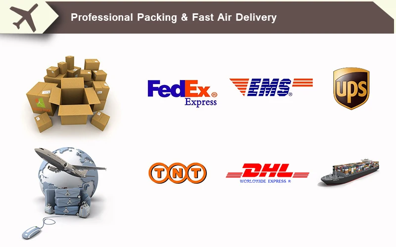 HTB1E6VULpXXXXa7XVXXq6xXFXXXj