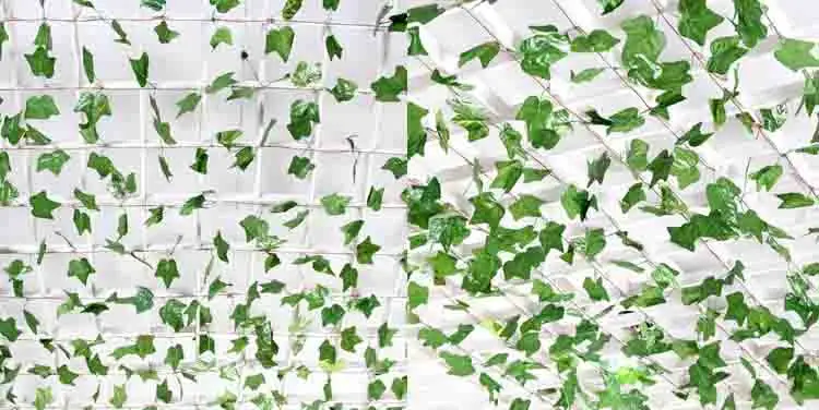 10362699027_1221198793