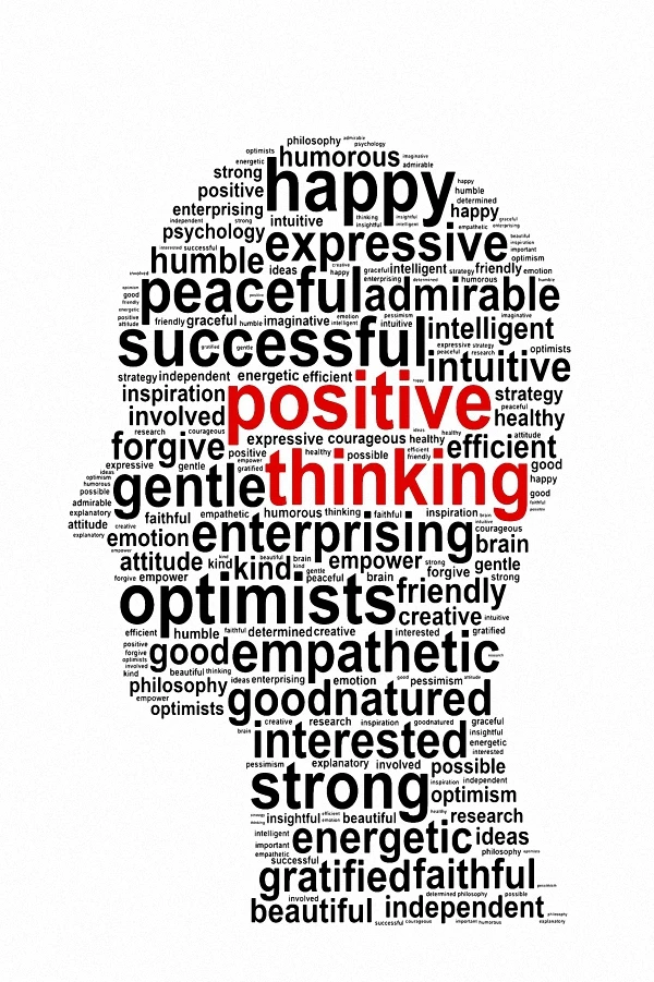 Positive Attitude Determination   Motivational POSTER 