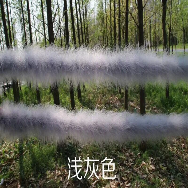 QQ20181021111134_