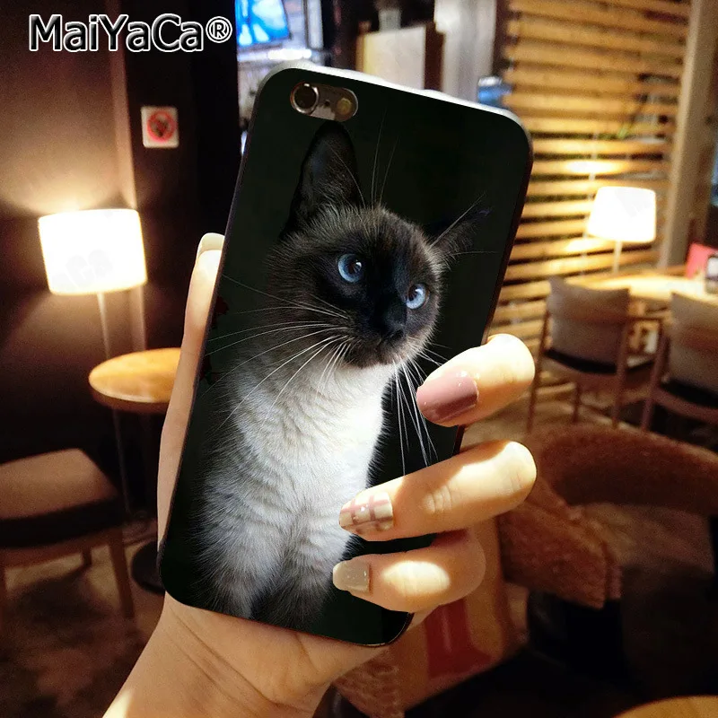 MaiYaCa الحيوانات الأليفة سيامي القط الفاخرة الأزياء جراب هاتف ل أبل فون 8 7 6 6 ثانية زائد X 5 5 ثانية SE XS XR XS ماكس الهواتف المحمولة MaiYaCa الحيوانات الأليفة سيامي القط الفاخرة الأزياء جراب هاتف ل أبل فون 8 7 6 6 ثانية زائد X 5 5 ثانية SE XS XR XS ماكس الهواتف المحمولة