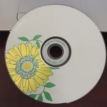 50 дисков класса А+ 52x700 Мб пустые хризантемы печатных CD-R