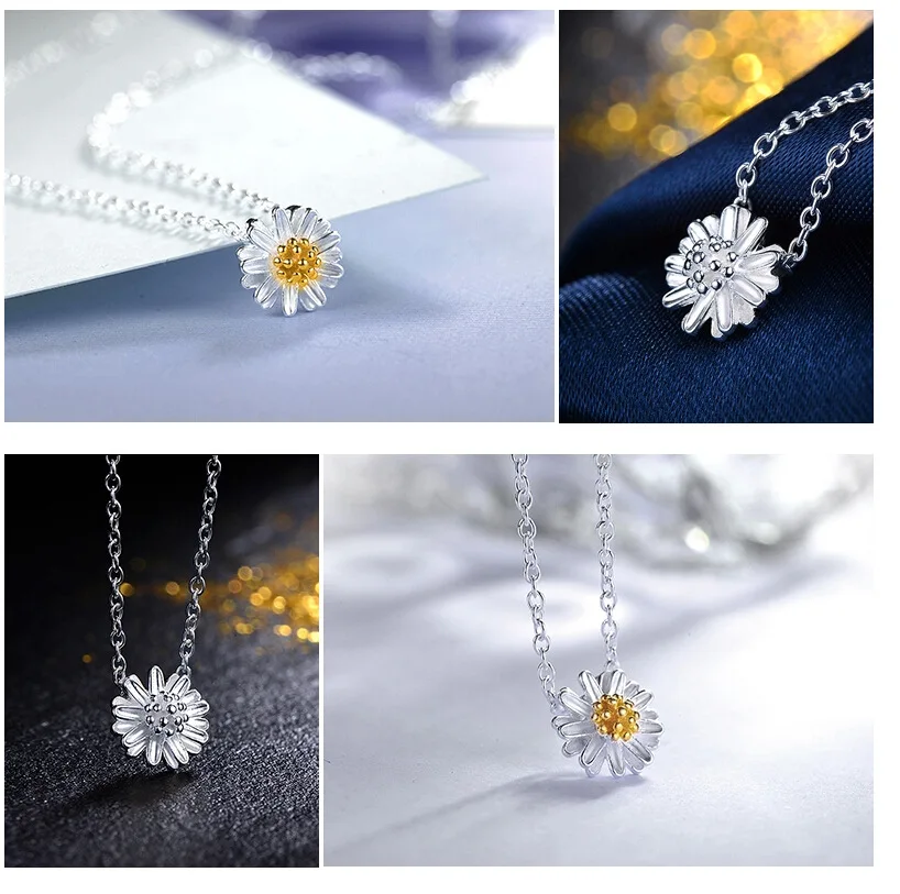 2081572522_353563269