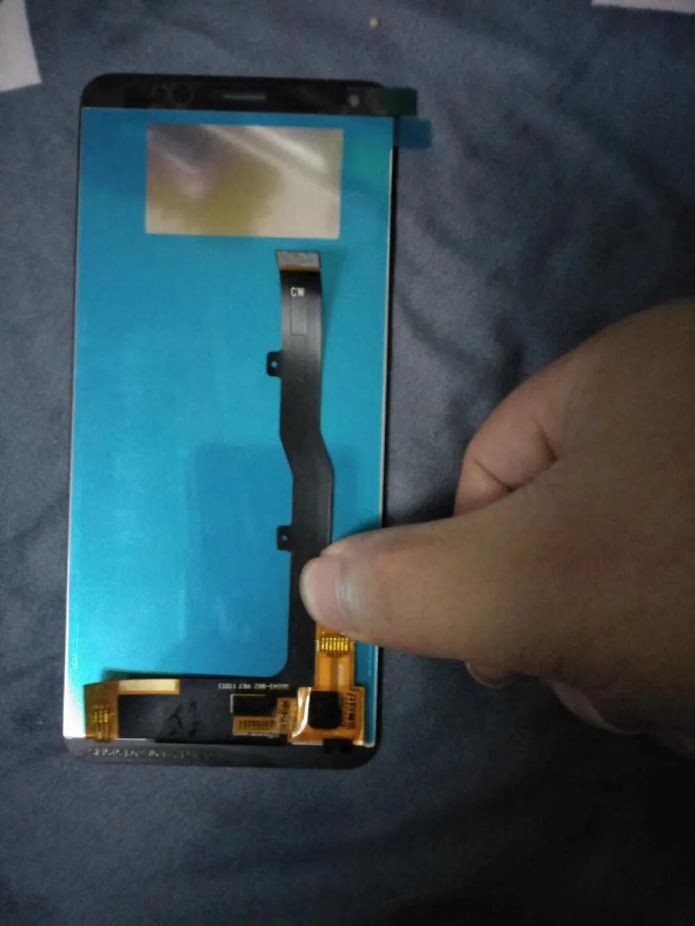 thumb