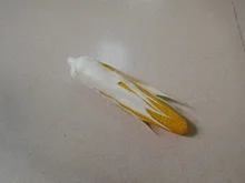 Jouets en plastique pour enfants, légumes, maïs, fruits, Simulation alimentaire, éducation précoce, maison de jeu, jouet de cuisine, 2021
