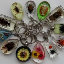 1 шт. брелок насекомое растение море животное образец искусственный янтарь пресс-папье образец