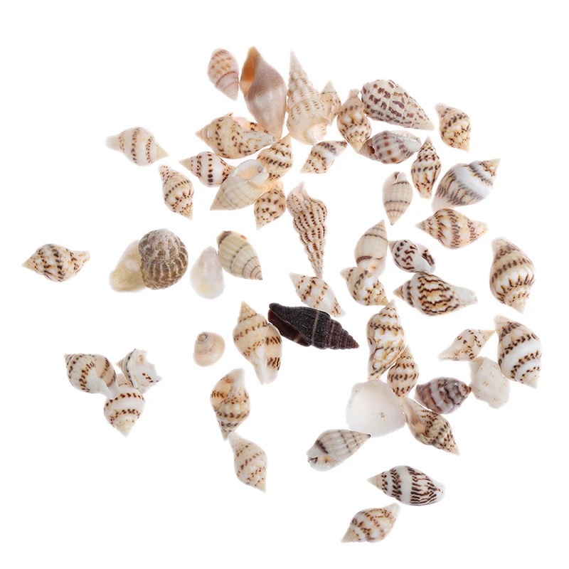 

(About 50Pcs) Mini Conch Simulation Beach Shell Model Furniture Toys for Doll House Decoration 1/12 Dollhouse Miniature