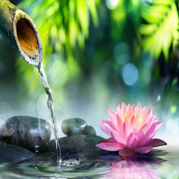 

5D DIY Diamond Embroidery Lotus Full Rhinestone Cross Rhinestone Mosaic Home Decor hcr