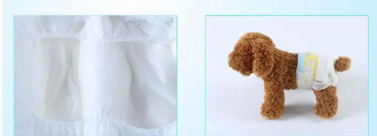 sanitary napkin (7)