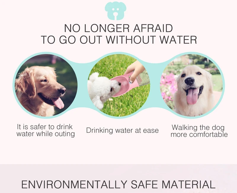 5 water bowl 