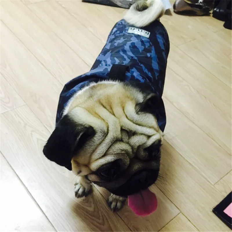 Французский бульдог домашнее животное дождевик для больших собак одежда большие собаки камуфляжная водонепроницаемая одежда дождевик Лабрадора дождевик для домашних животных куртки