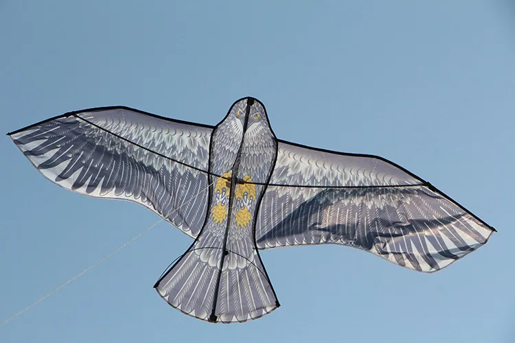 HTB1CGPlOFXXXXXiXFXXq6xXFXXXA