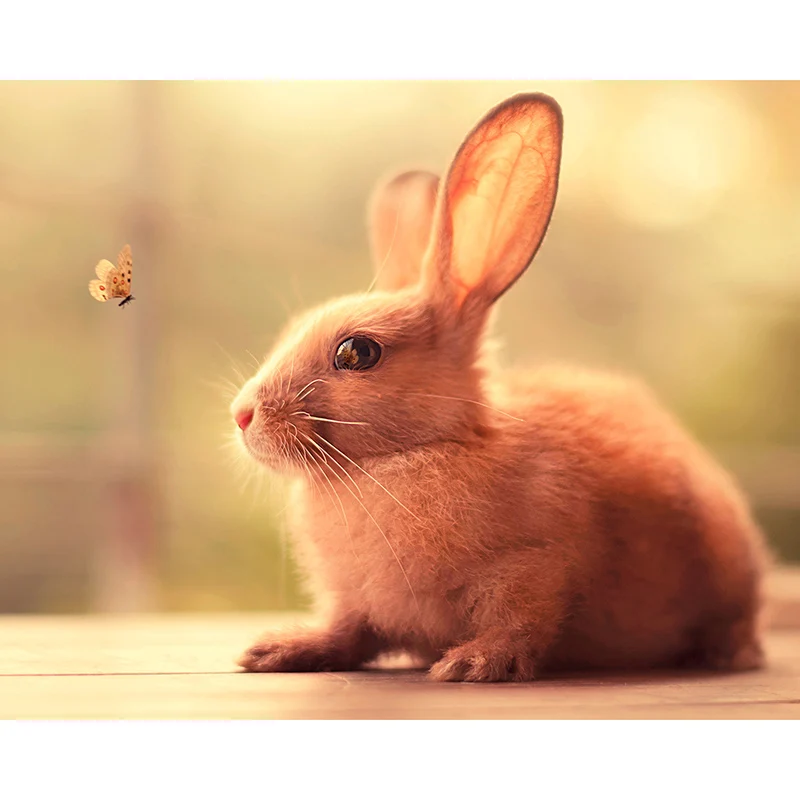 

LZAIQIZG NEW 5D DIY Diamond Painting "Cute Bunny" Diamond Embroidery Cross Stitch Needlework Gift Full Rhinestone Decoration