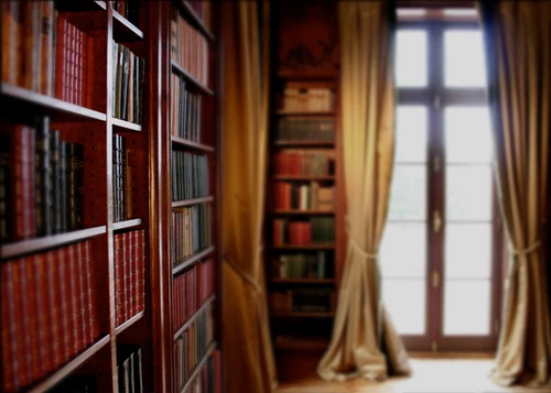 سينوبيك خزانة التصوير خلفية الفن نسيج الوليد خلفية D-8903