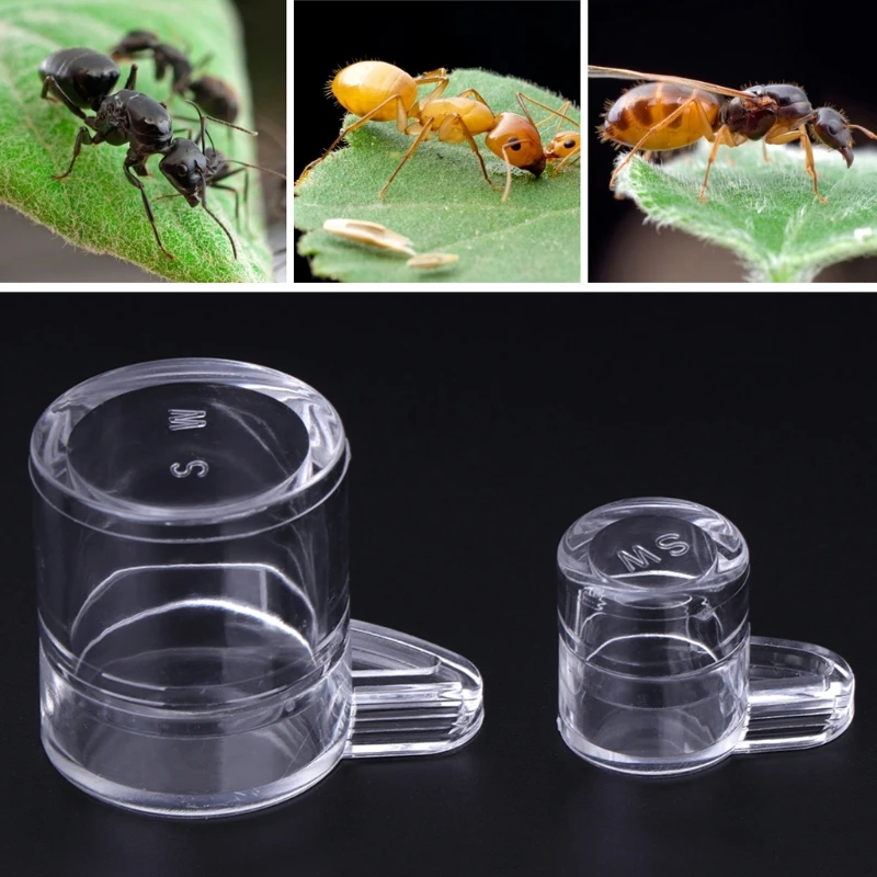 Муравьиная кормовая зона для муравья гнездо домашняя ферма акриловая круглая чаша для питья