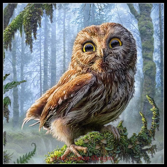 

Набор для вышивки крестиком DMC, рукоделие для рукоделия, Французский DMC, высокое качество, 14 ct, картина маслом-джунгли, сова