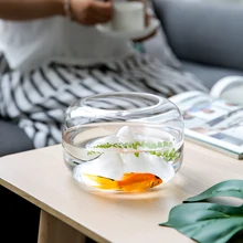Японский стиль прозрачное стекло Снежная гора рыбный бак стол гидропонная ваза микро пейзаж декоративный цветок