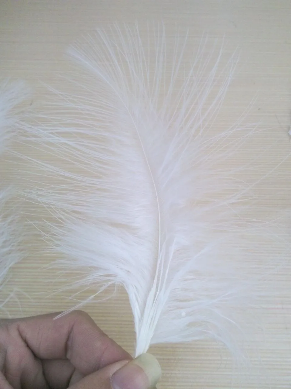 1F93B1CD4222AC0C759AA7CD5E4864EF