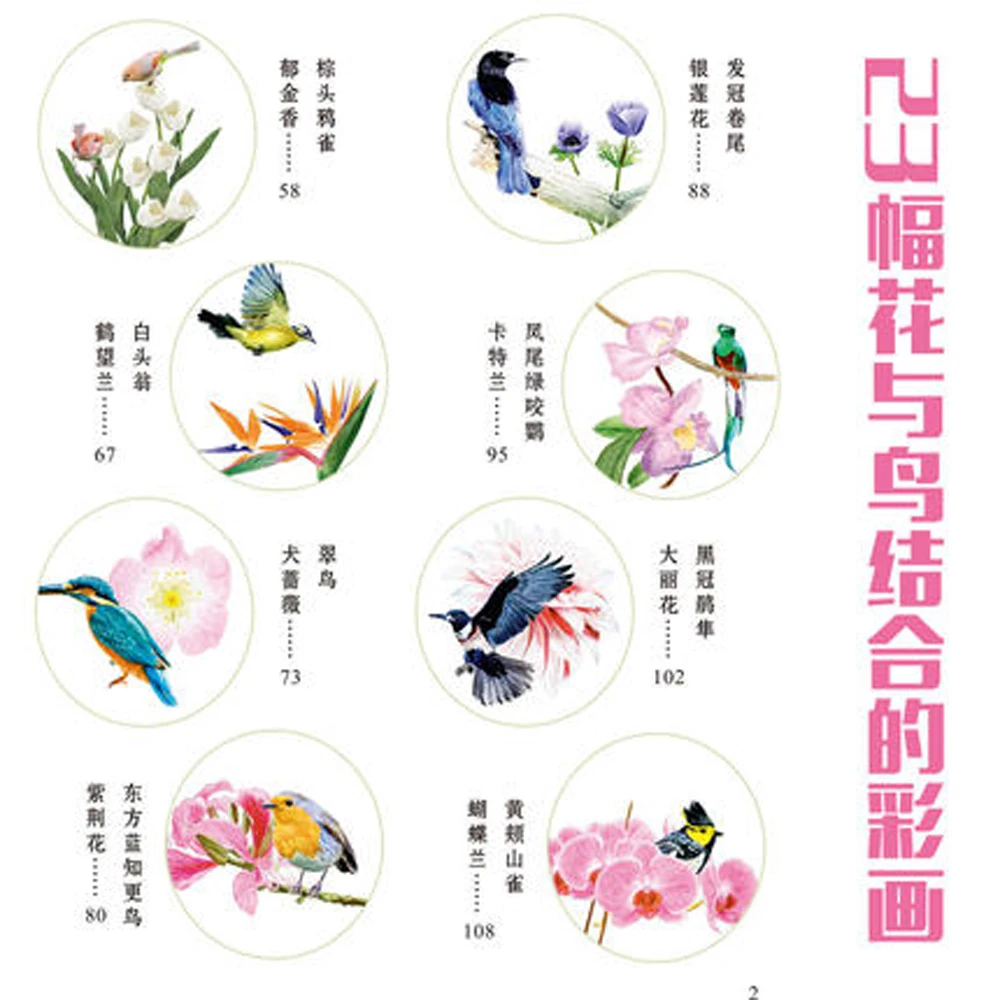 Cinese Colore Matita Penna Disegno libro sui Bei Fiori e Uccelli arte cinese tecniche di Pittura Libro Da Colorare in Cinese Colore Matita Penna Disegno