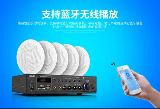 LPS 116 поддержка передачи Bluetooth USB/SD воспроизведение фона музыки домашний усилитель