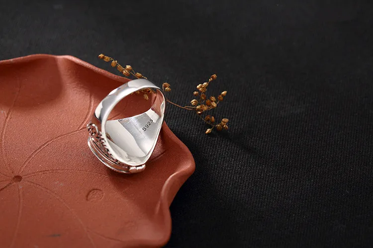 3747874404_1181238896_