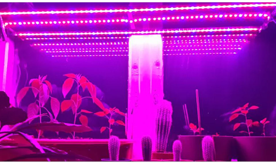 Светодиодный светильник для выращивания, набор лент, 12 В постоянного тока, фитолампа с сенсорным выключателем, фитолампа для выращивания в помещении, садовая палатка, коробка для рассады, Цветочная лампа для растений