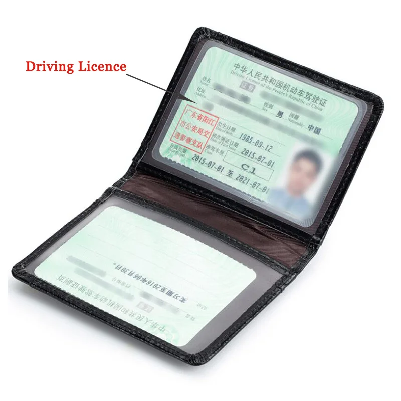driving licence01