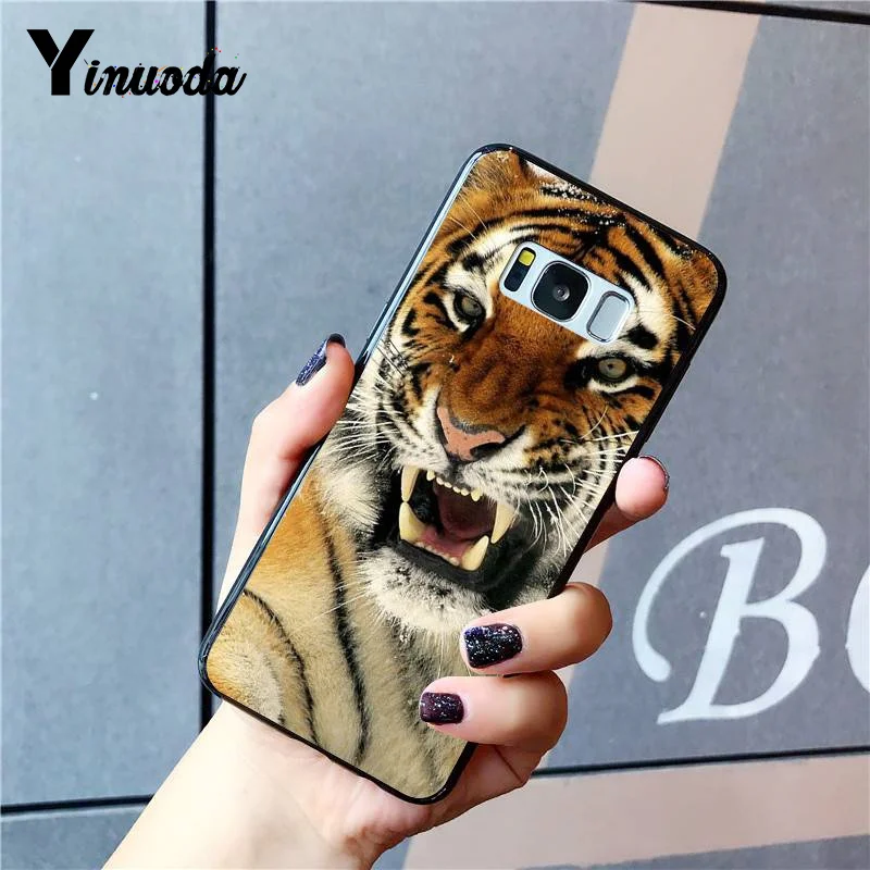 Russian version wolf tiger lion Leopard bear animal