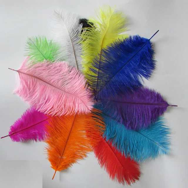 Wholesale Hard rod 50pcs/lot multicolor for choose natural Ostrich