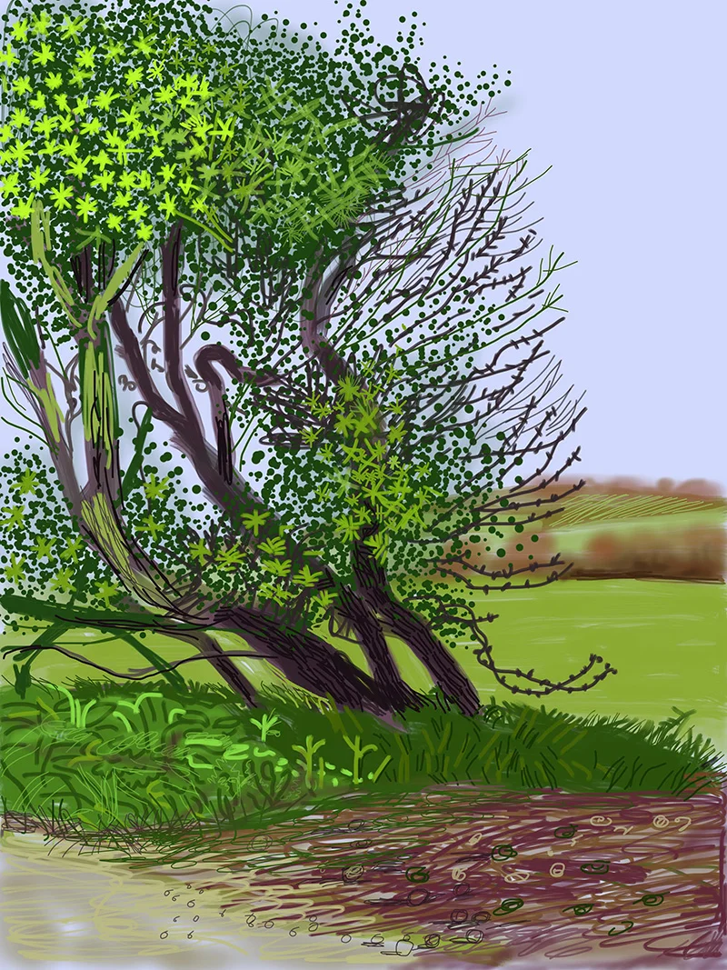 2011The Arrival of Spring in Woldgate, East Yorkshire(iPad drawing printed)7