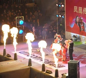 

2pcs/lot DMX Fire Machine 90V-240V DMX512 Flame Projectors Spray Fire Machine Safe to Use 200W Fire effect Stage Light