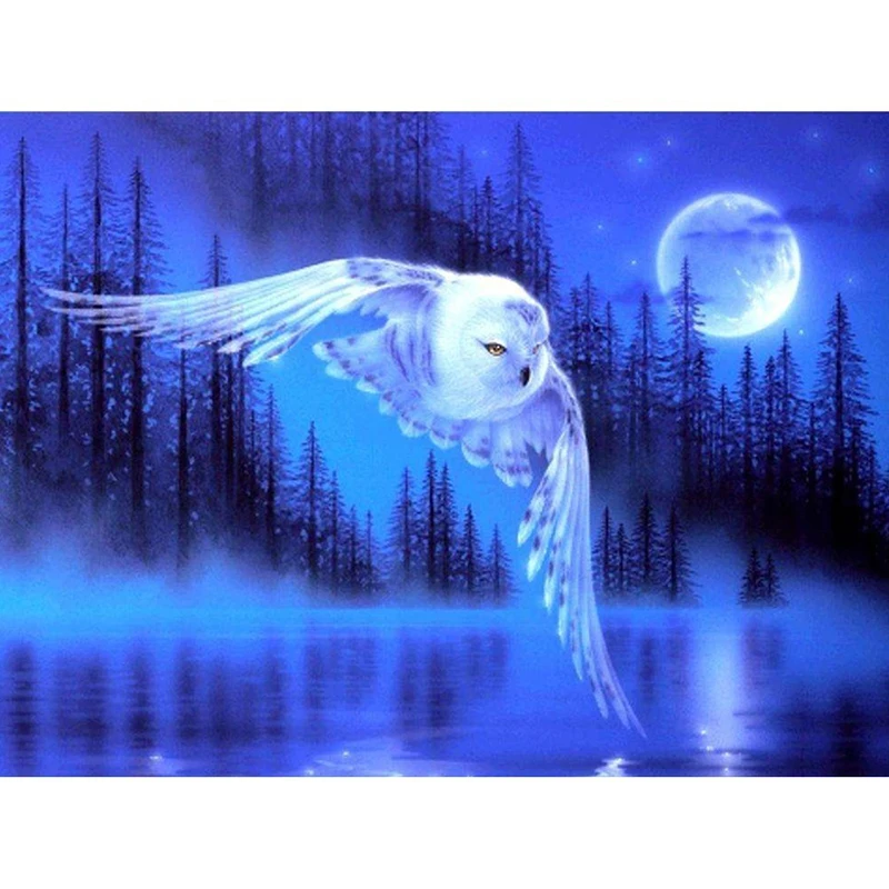 HUACAN-Animals-Diamond-Embroidery-Owl-Diamond-Painting-Birds-5D-Birthday-Party-Decorations-Kids-DIY-Full-Square