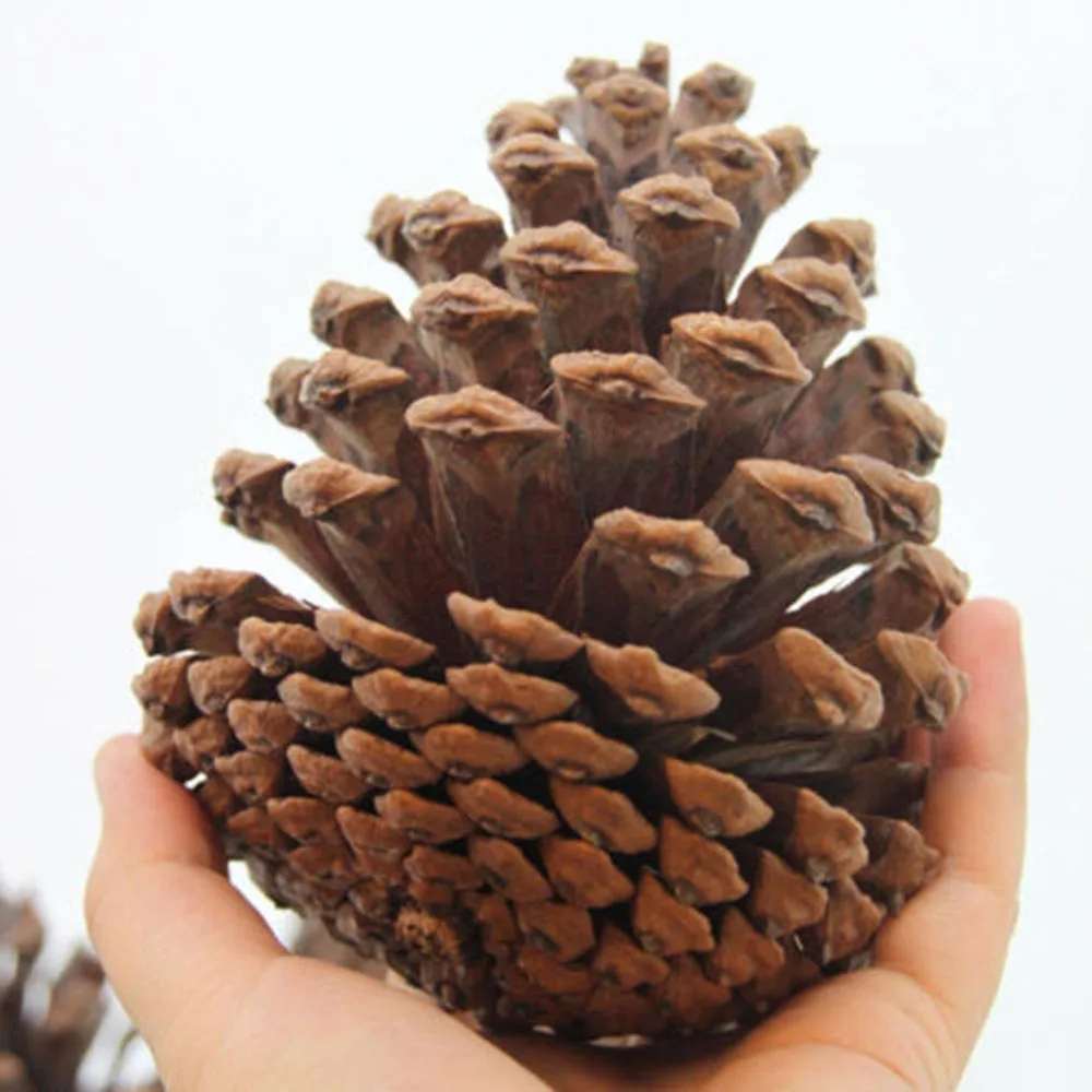 3D Pinecones силиконовые помады плесень украшения торта выпечка сладостей Плесень Форма для шоколада DIY украшения торта