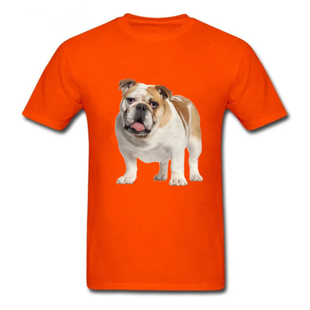 13orange(1)