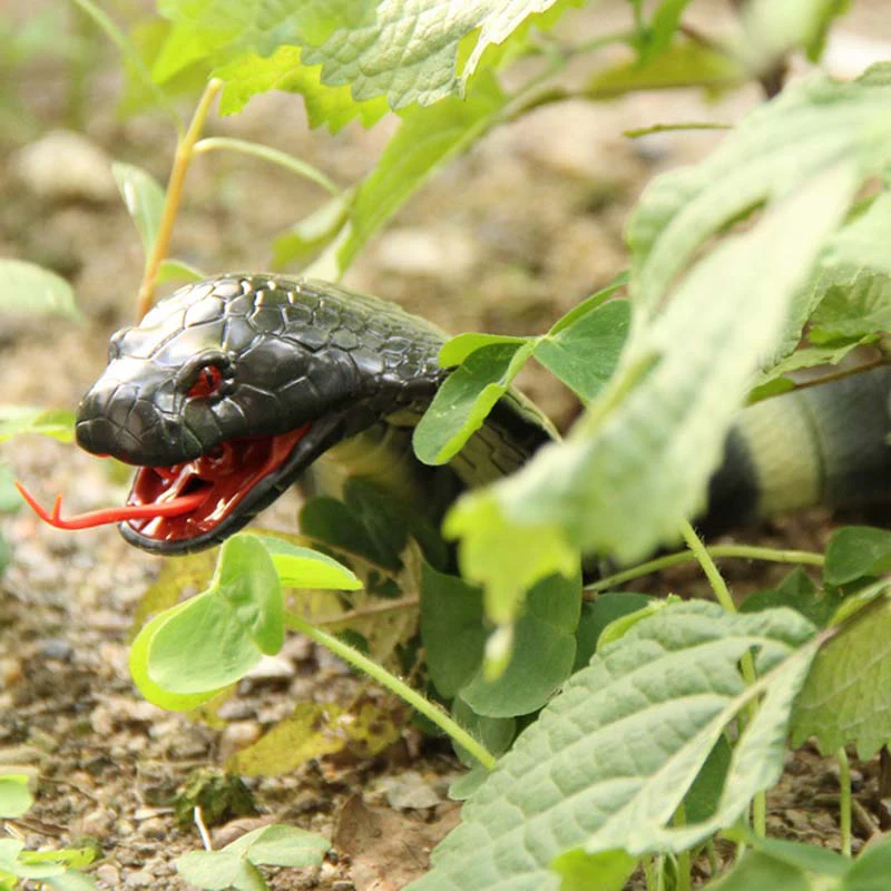 261671_no-logo_261671-1-05