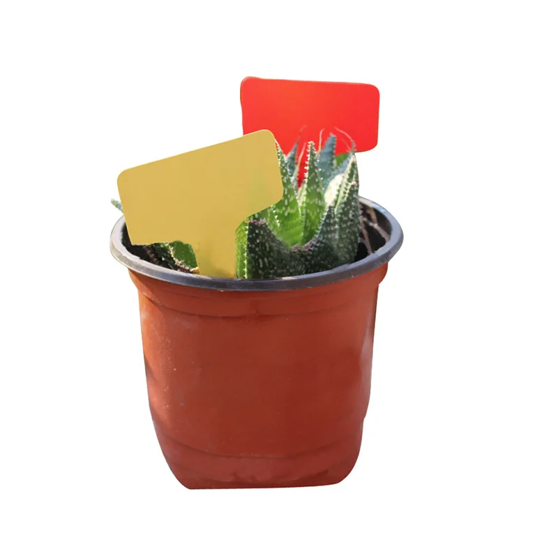 

New 100pcs Breeding label Gardening Plant Tag PVC Waterproof Hanging Sign Fleshy Nursery Stock Flowers Tag Label