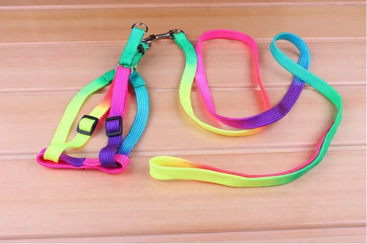 5 шт./Партия 1 шт. ошейники для собак поводки аксессуары поводок для маленьких собак разноцветный Радужный дизайн