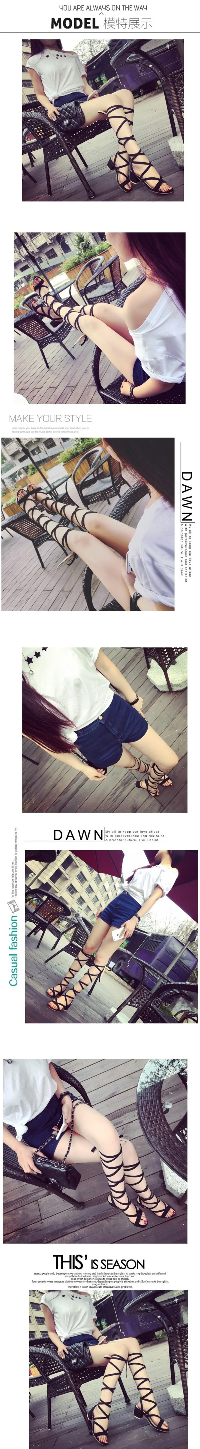 2974456548_607726165